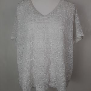 Worthington Textured Lined White Top 3X